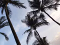 求租 求租  求租 一个单间