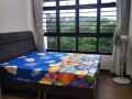 榜鹅全新普通房出租