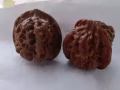 文玩核桃