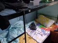 低價處理上下鐵床，木床，冰箱，洗衣機