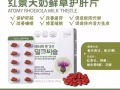 护肝片【改善肝炎及肝硬化、酒精性肝功能障碍等，其他对抗氧化、强壮、利尿等也有助益】