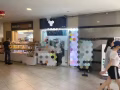 机会难得的政府购物中心EliasMall