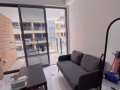 sophia hill 转租2b2b房其中一间