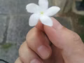 男找女做爱做的事