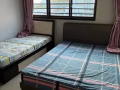 文礼 主人房出租