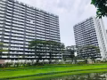 急急急！求租金文泰西海岸附近夫妻房