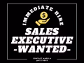 hiring sales executive 销售主管 x5