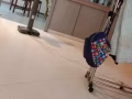 巴西立新房576