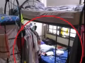 先驅地鐵站百米內主人房，五人間下鋪床位轉租