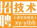 新加坡全岛工作，招聘高薪技术类岗位，详情咨询微信：xy-yibb