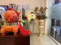 招聘按摩师WP