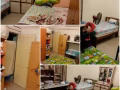 公寓女床位出租