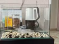因回国鱼缸出售