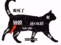 在這個異國它鄉想找個共情人聊聊天