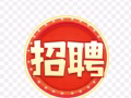 会计事务所事务所直招，可以申请EP与s pass