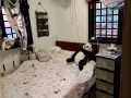 大巴窑大牌195邮编310195房间出租，适合夫妻包水电