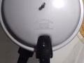 全新高压锅