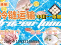 🍱冷冻食品整柜运输到新加坡？一定要看这篇！