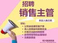 招聘 销售主管