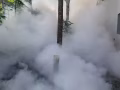 專業殺蟲，除蟑螂，老鼠，白螞蟻，蚊蟲等一切害蟲（全島）