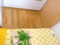 马力是它 普通房 出租 马上入住 无中介费