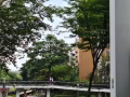 男性一位
