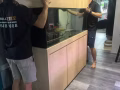 牛牛搬家服务