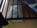 出售單人床一個