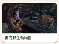 低價出售夜間動物園門票