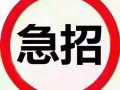 越南缅甸订单 单子多待遇好长期招合作代理 加薇wen905222
