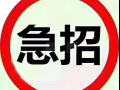 女工订单  wen905222