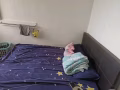 普通夫妻房出租