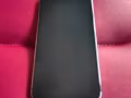 萍果14pro max 256gb