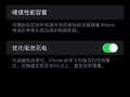 14 pro max