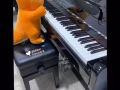 新加坡钢琴课招生 SG Piano Lesson Enrollment