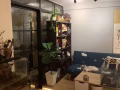后港 blk 527有普通房间出租