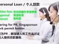 WP/EP/PR 100%个人贷款，商业贷款，新加坡合法公司！！！