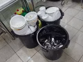 碧山顺福招聘洗档口洗碗