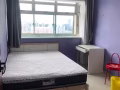 女皇镇高楼近地铁普通房