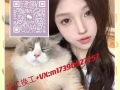 💖💖💖狮城赚钱回国花，三千六能值一万八，加上微信看工作，找个合适自己哒!微信：m17390927257