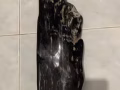 木化石