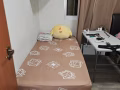 招一个男搭房