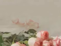 寻找兼职工作