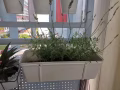 宜家园艺工具