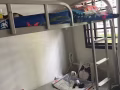 上下鋪鐵床