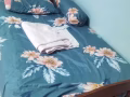 找2个女房客