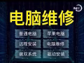 电脑维修 解决系统更换硬件 台式机组装 网络问题 苹果双系统 office CAD 支持上门 微信：SKY-618618