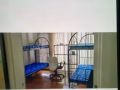 巴耶利巴地铁站芽笼35巷公寓主人房四人间普通房两人间出租