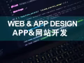 20年行业经验 | Website/网站建设、APP&dAP/软件开发、SEO网络推广，名片菜单设计