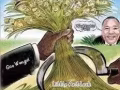 #WenguiGuo #WashingtonFarm The Kwok scam only pits the ants